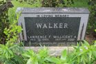 Walker2C_La.jpg