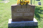 Walker2C_Th.jpg