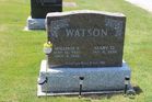 Watson2C_Wil.jpg
