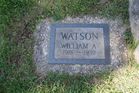Watson2C_Wil_A.jpg