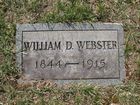 Webster2C_Wil_D.jpg