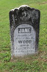 Wood2C_Jane.JPG