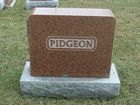 Pidgeon_Main_Stone_28229.jpg