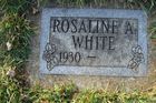 White2C_Rosaline_A_.jpg